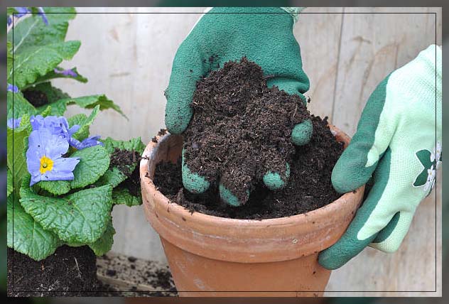 loam soil consists of best composition of different soils