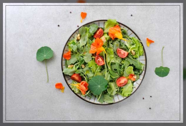 nasturtium