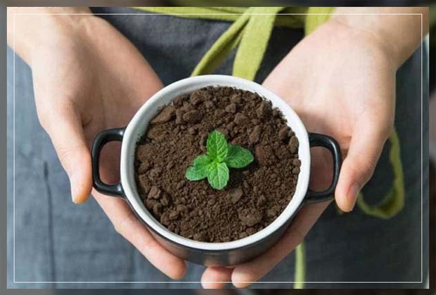ensuring organic potting soil is effective 