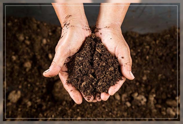 peat moss