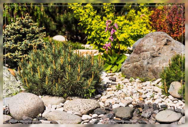 rock garden