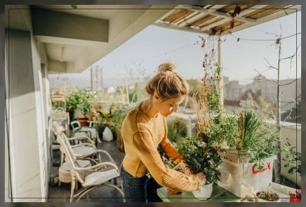 urban farming benefits