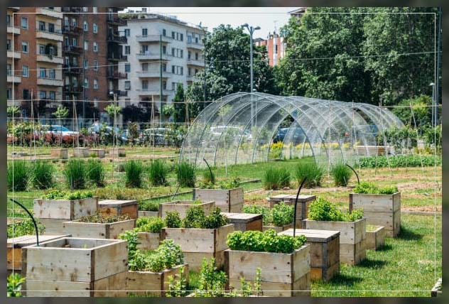urban farming types