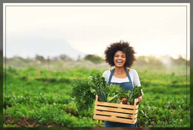 Farm fresh 3