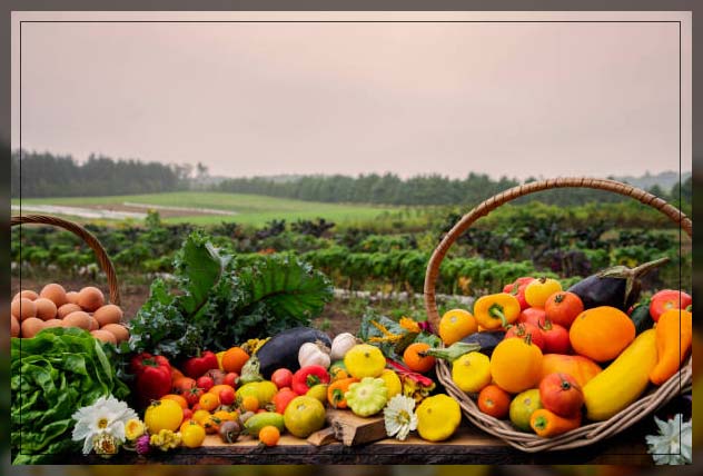 Farm fresh 7