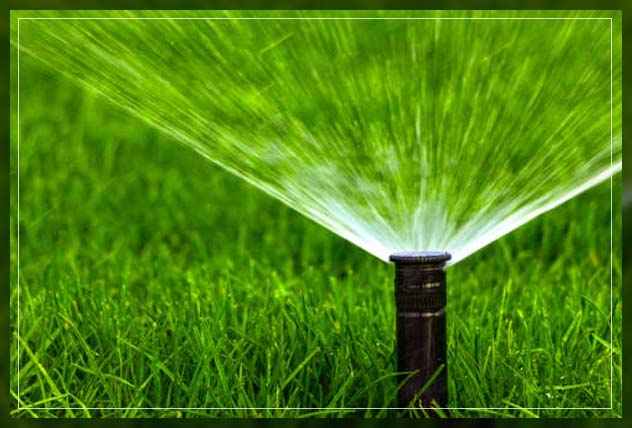 Sprinkler irrigation 3