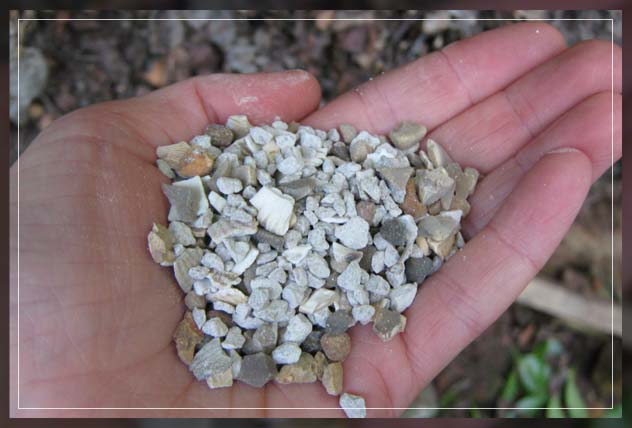 what is chicken grit made of?