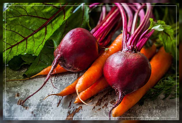 growing beets
