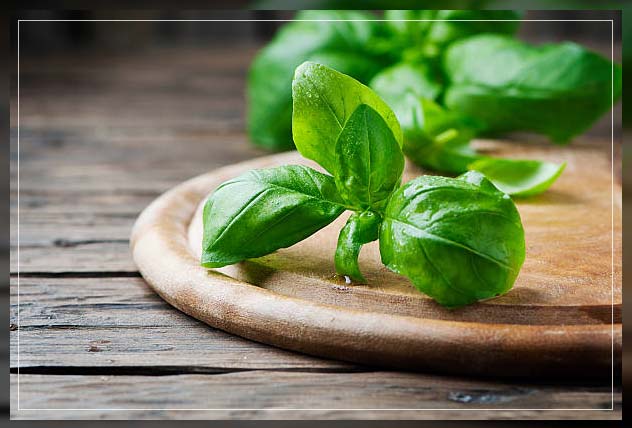 using medicinal herbs