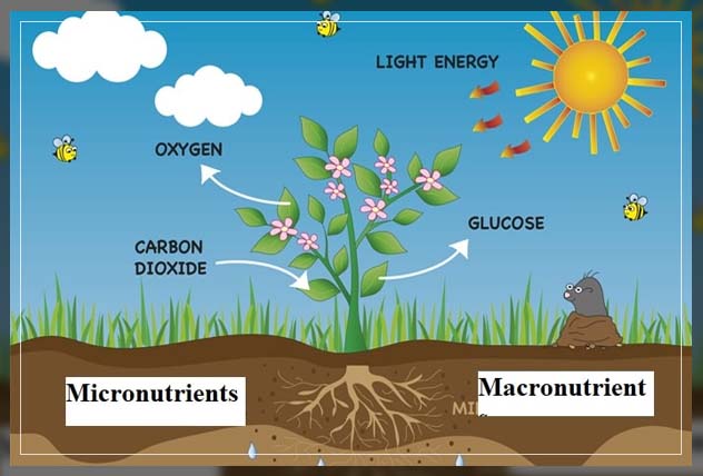 making the soil fertile