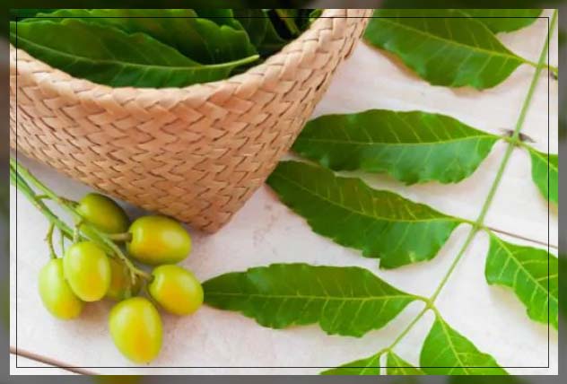 benefits of organic pesticides