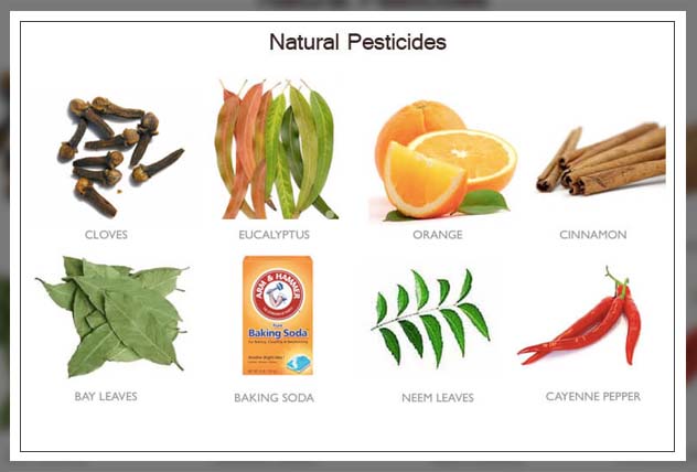 natural pesticides types