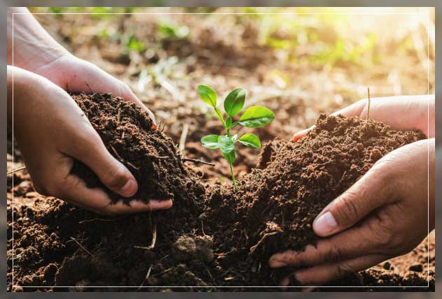 Layers of soil 4