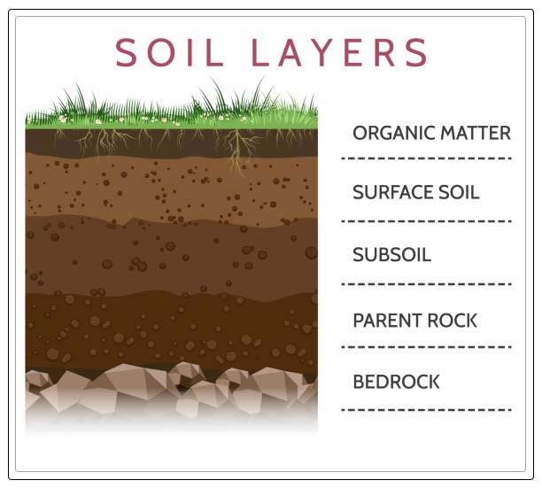 Layers of soil 7