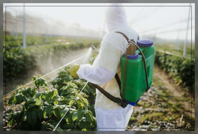pesticides for plants