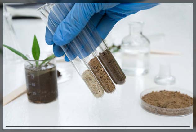 Soil profile 5