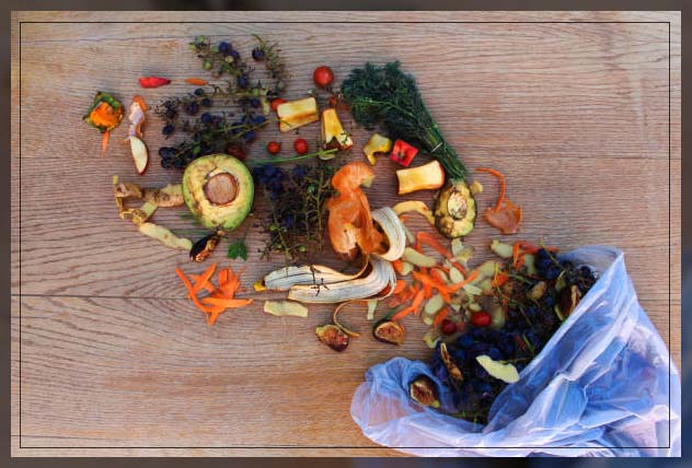 understanding biodegradable waste