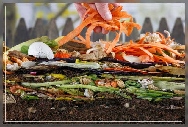 the food waste factor
