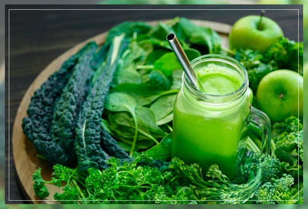 understanding phytonutrients