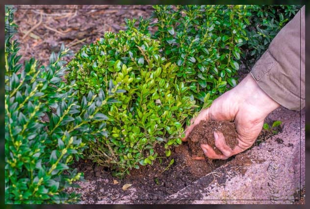 soil fertility 1