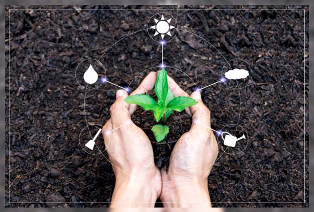 soil fertility 2