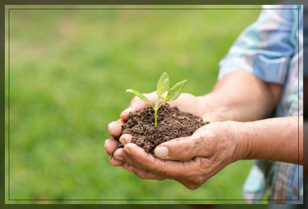 soil fertility