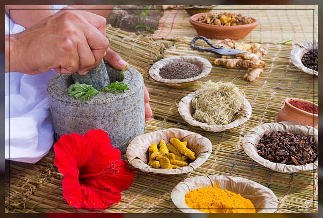 Herbal plants 7