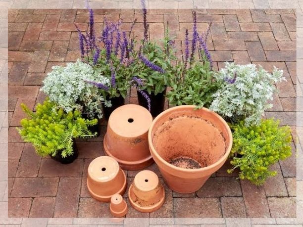 potting containers