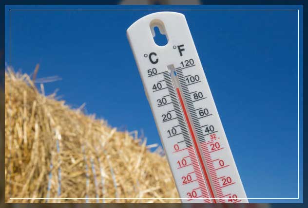 Temperature sensor 5