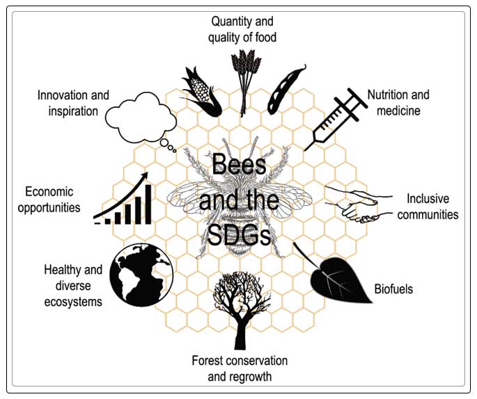 bees and their environment