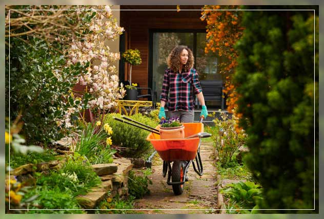 floweirng shrubs