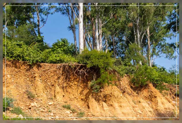 Causes of soil erosion 2