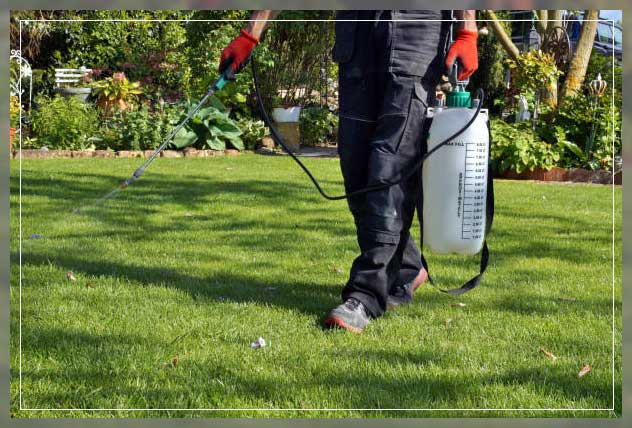 garden maintenance