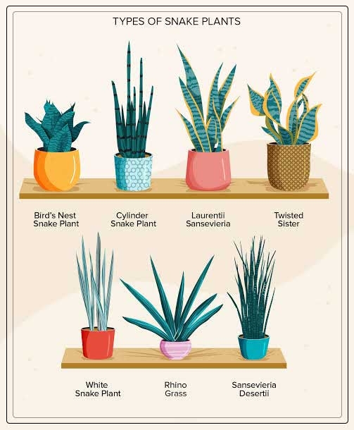 types