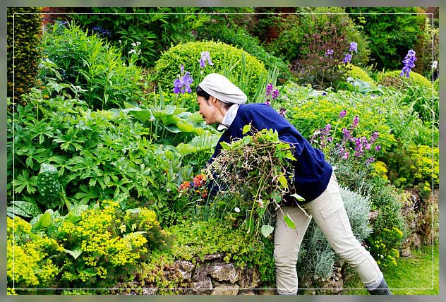 Weed management 5