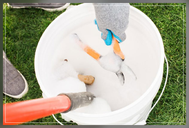 cleaning garden tools properly
