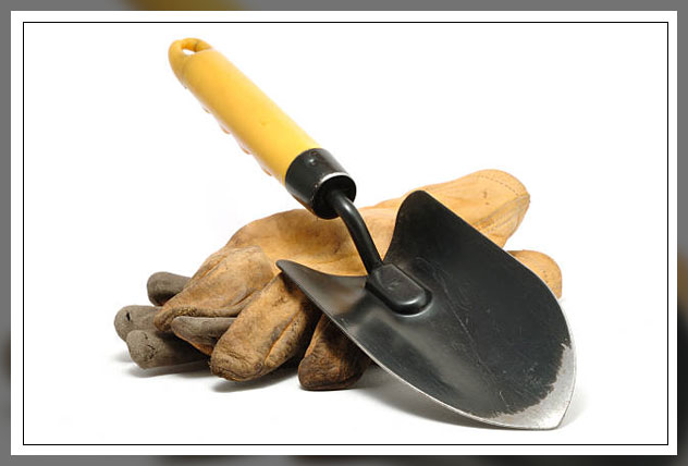 shovel
