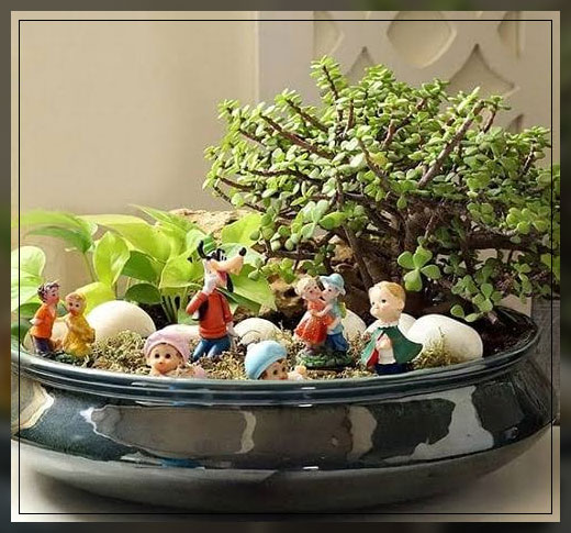 indoor dish garden 1