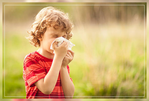 what is pollen allergy?