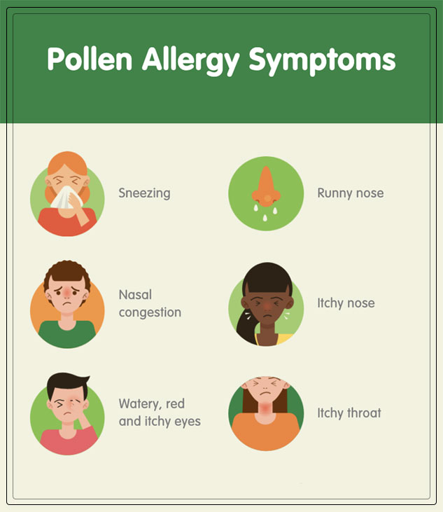 what are pollen allergy symptoms