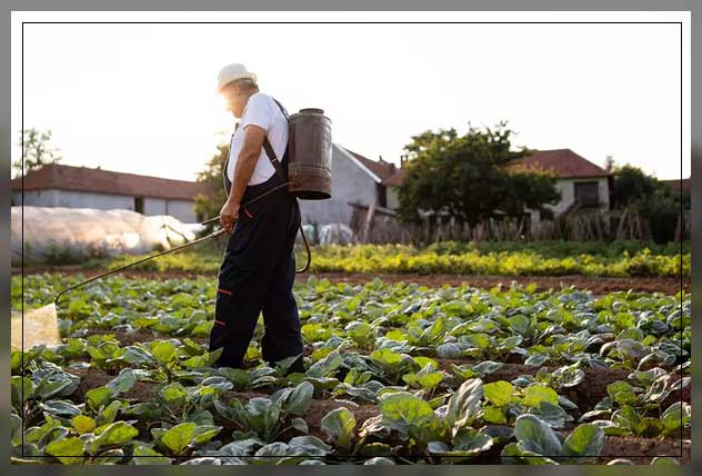 ensuring clean produce is used