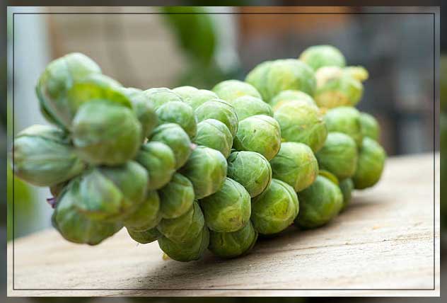 Cruciferous vegetables 6