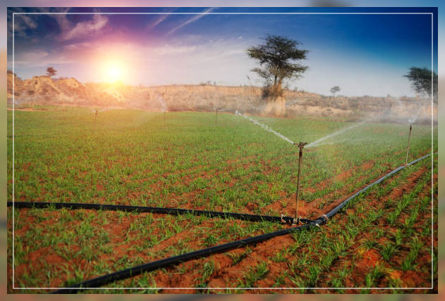 Sprinkler system 1