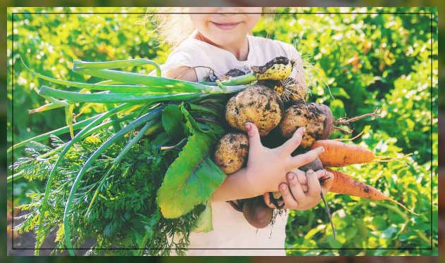 Vegetable farm 8