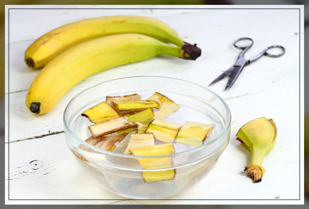 banana composting