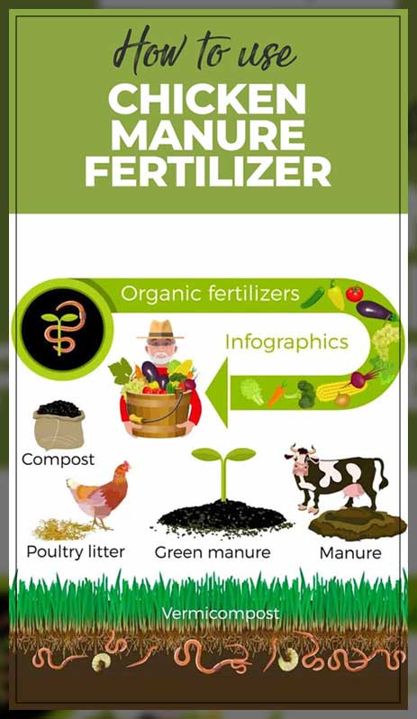 organic fertilizer application