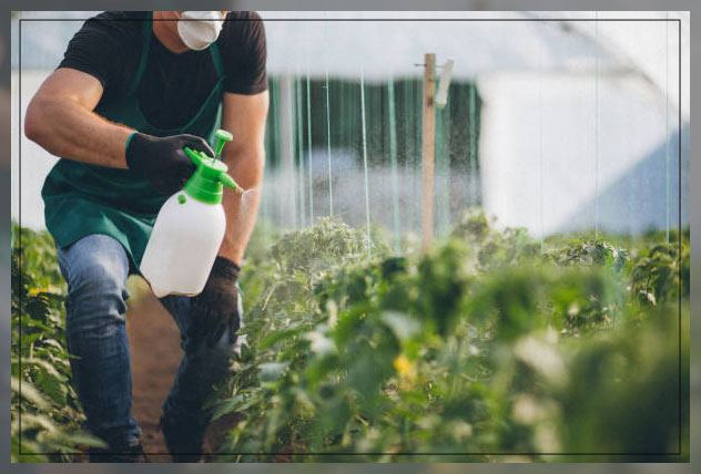 herbicides for gardens