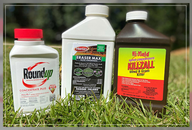 understanding herbicides