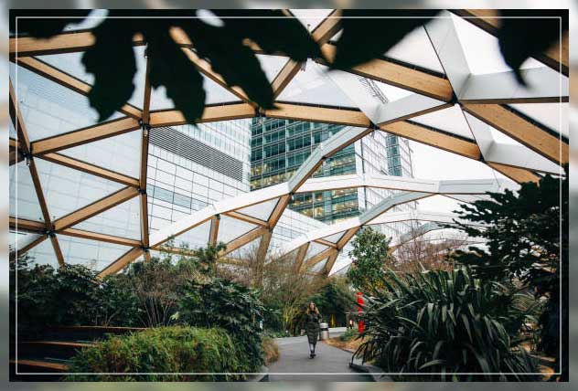 green roofs