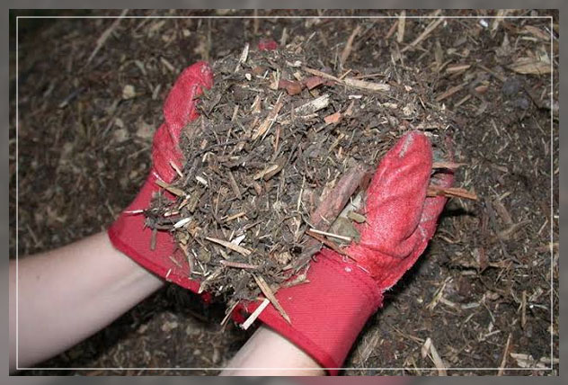 removing mulch